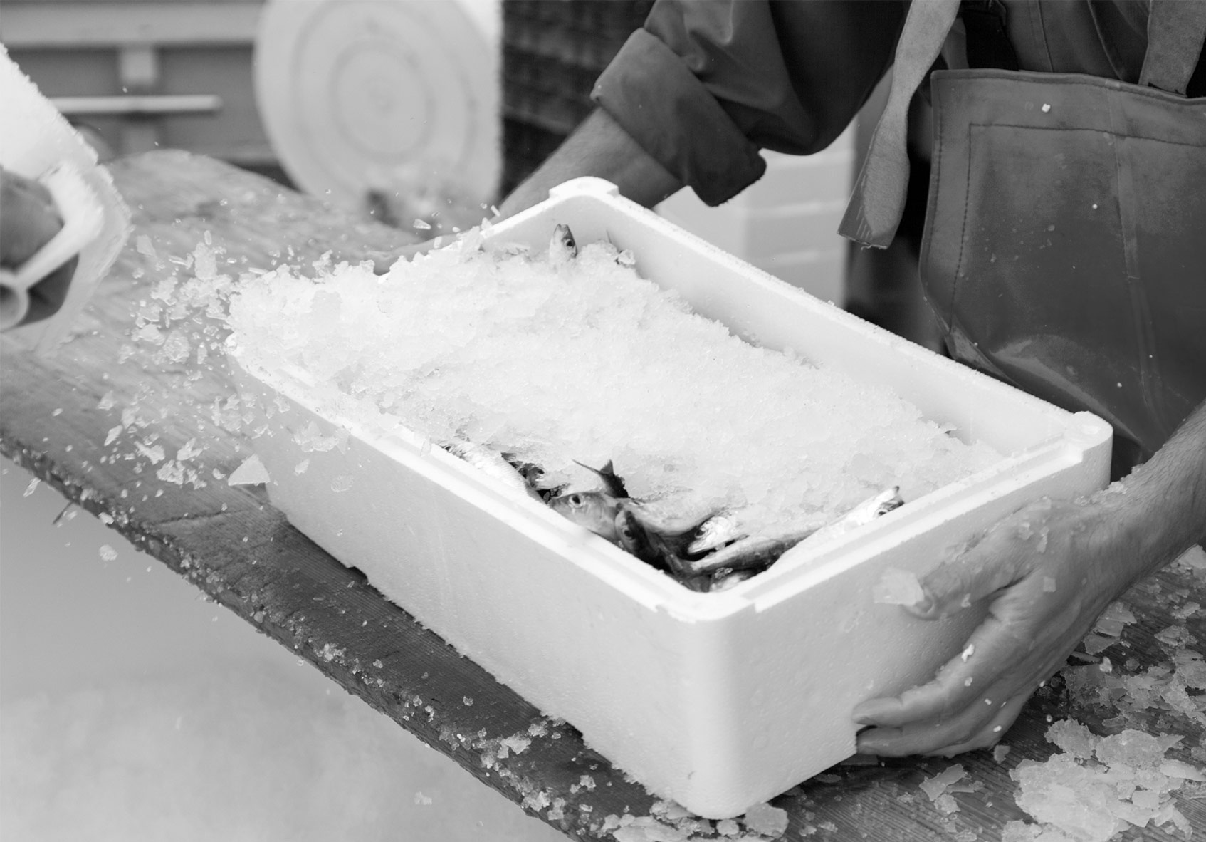 The Glasgow Fish Market Quantum Solutions Commercial Management